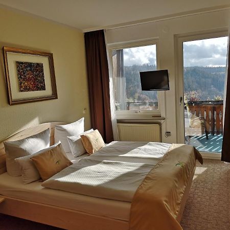 Pension Talblick Бад-Грунд Экстерьер фото