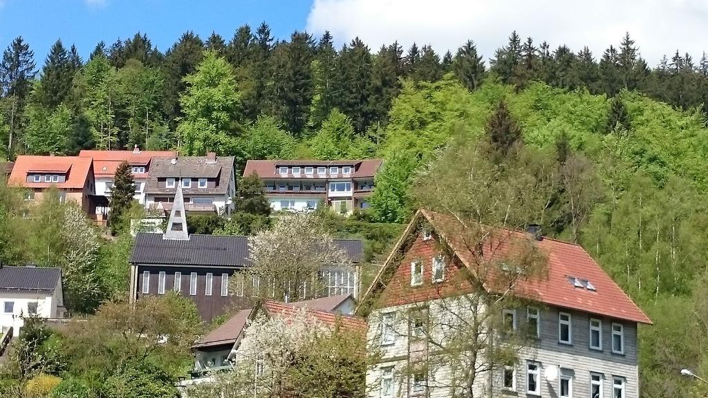 Pension Talblick Бад-Грунд Экстерьер фото