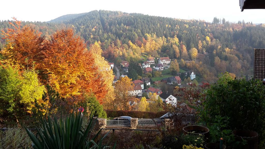 Pension Talblick Бад-Грунд Экстерьер фото