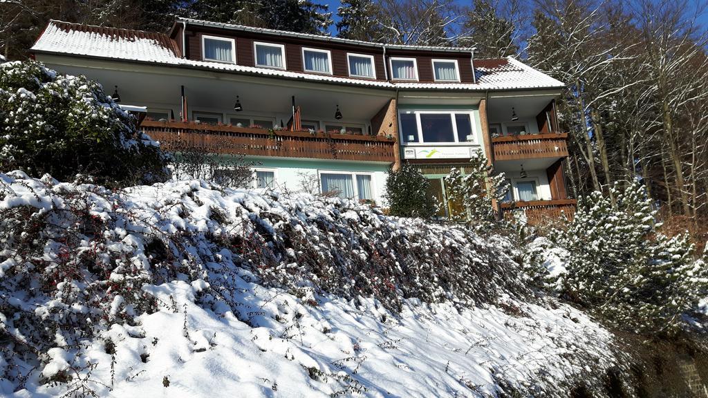Pension Talblick Бад-Грунд Экстерьер фото